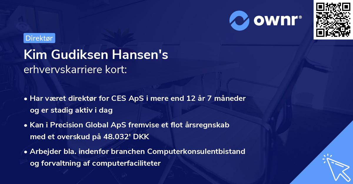 Kim Gudiksen Hansen's erhvervskarriere kort