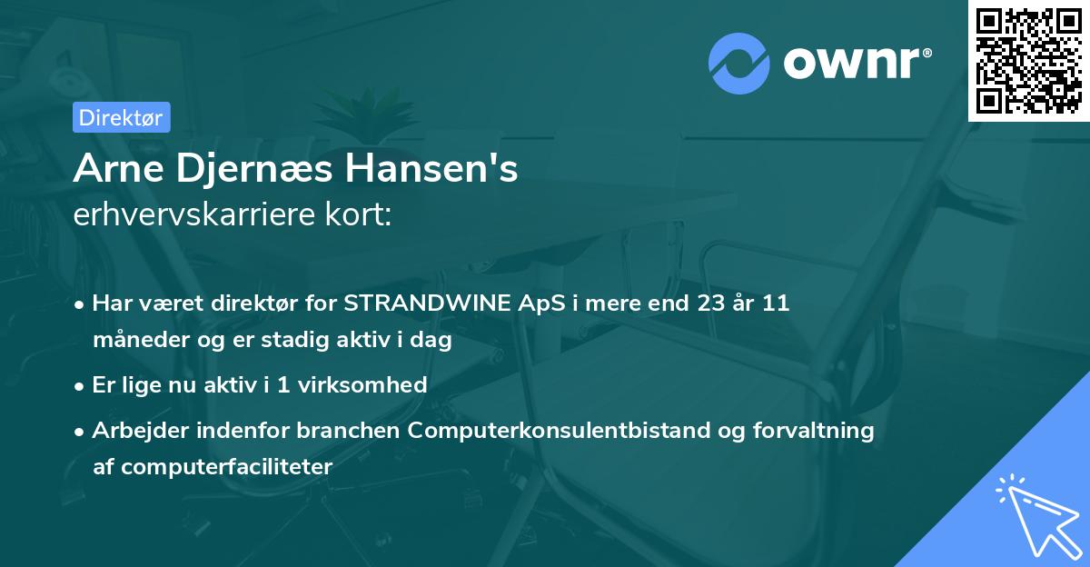 Arne Djernæs Hansen's erhvervskarriere kort
