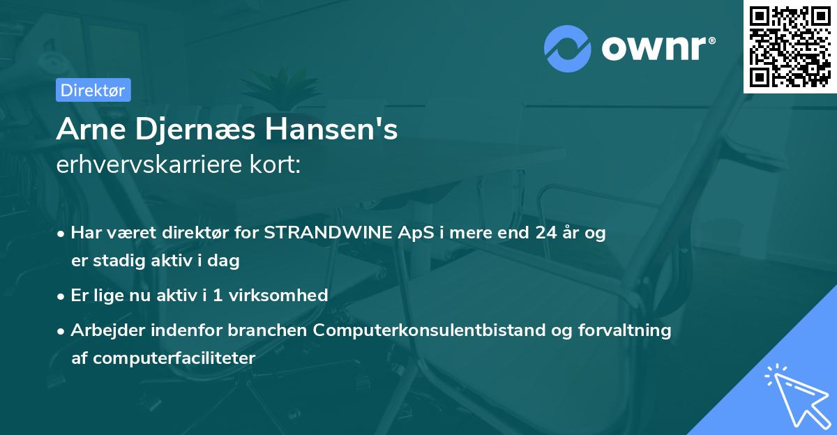 Arne Djernæs Hansen's erhvervskarriere kort