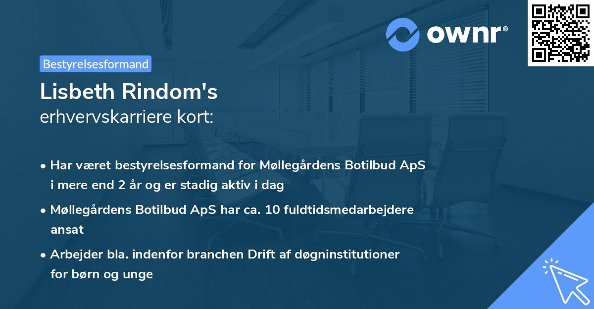 Lisbeth Rindom's erhvervskarriere kort