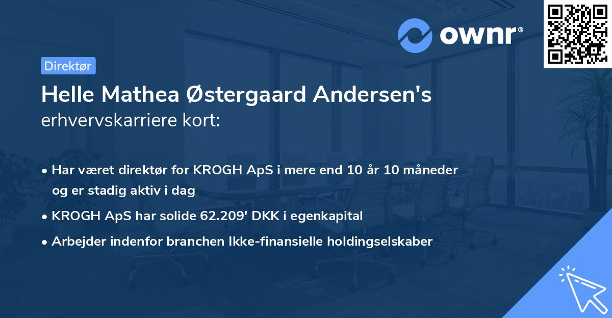 Helle Mathea Østergaard Andersen's erhvervskarriere kort