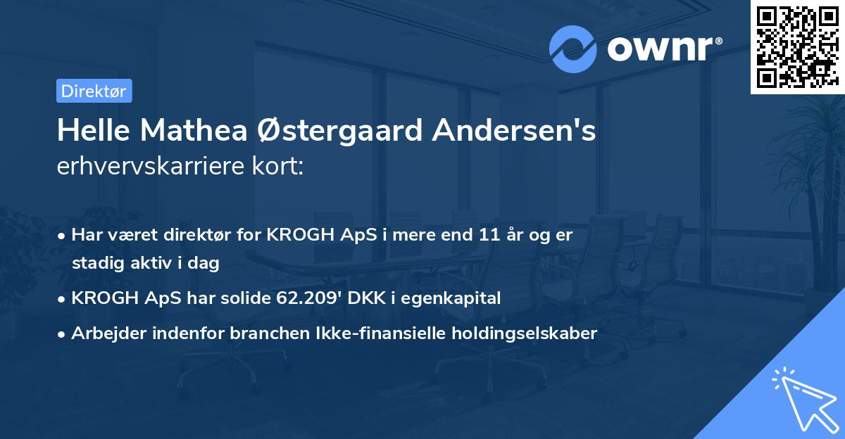 Helle Mathea Østergaard Andersen's erhvervskarriere kort