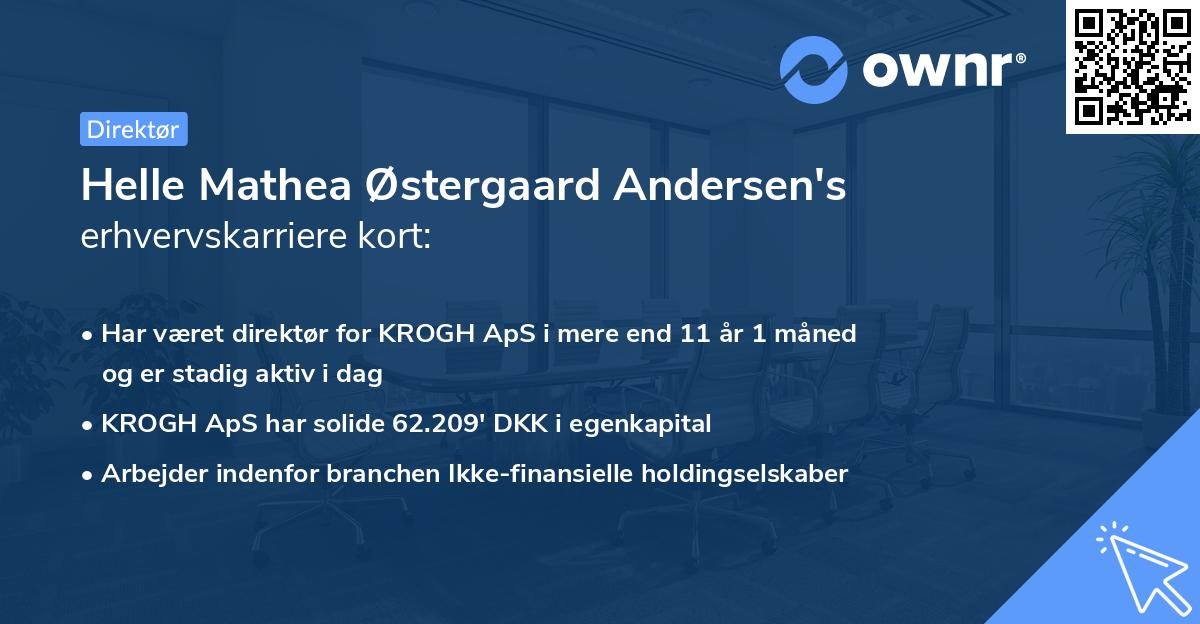 Helle Mathea Østergaard Andersen's erhvervskarriere kort