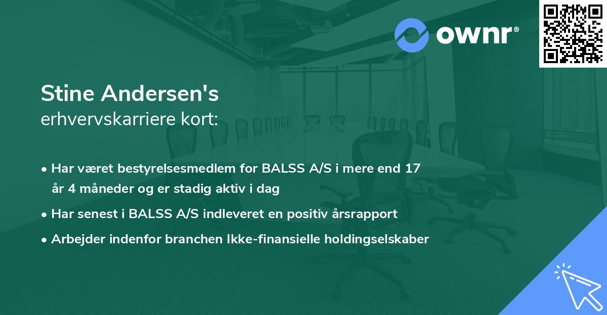 Stine Andersen's erhvervskarriere kort