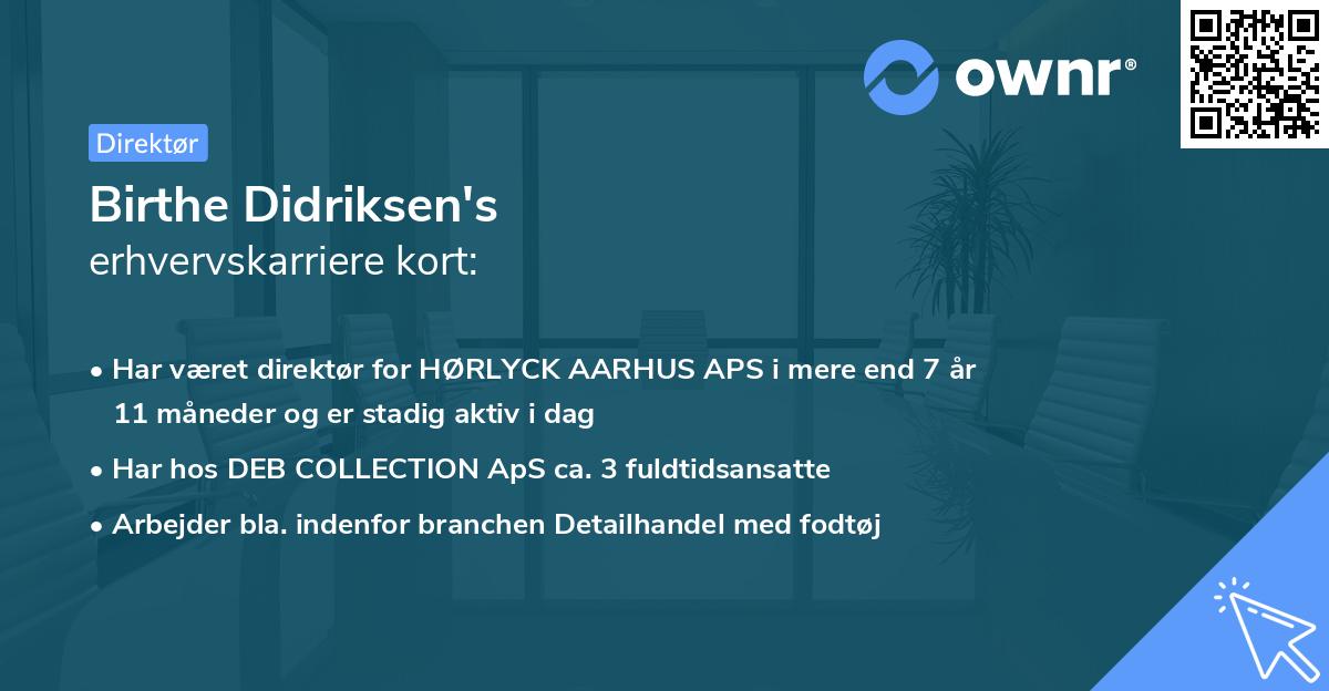 Birthe Didriksen's erhvervskarriere kort