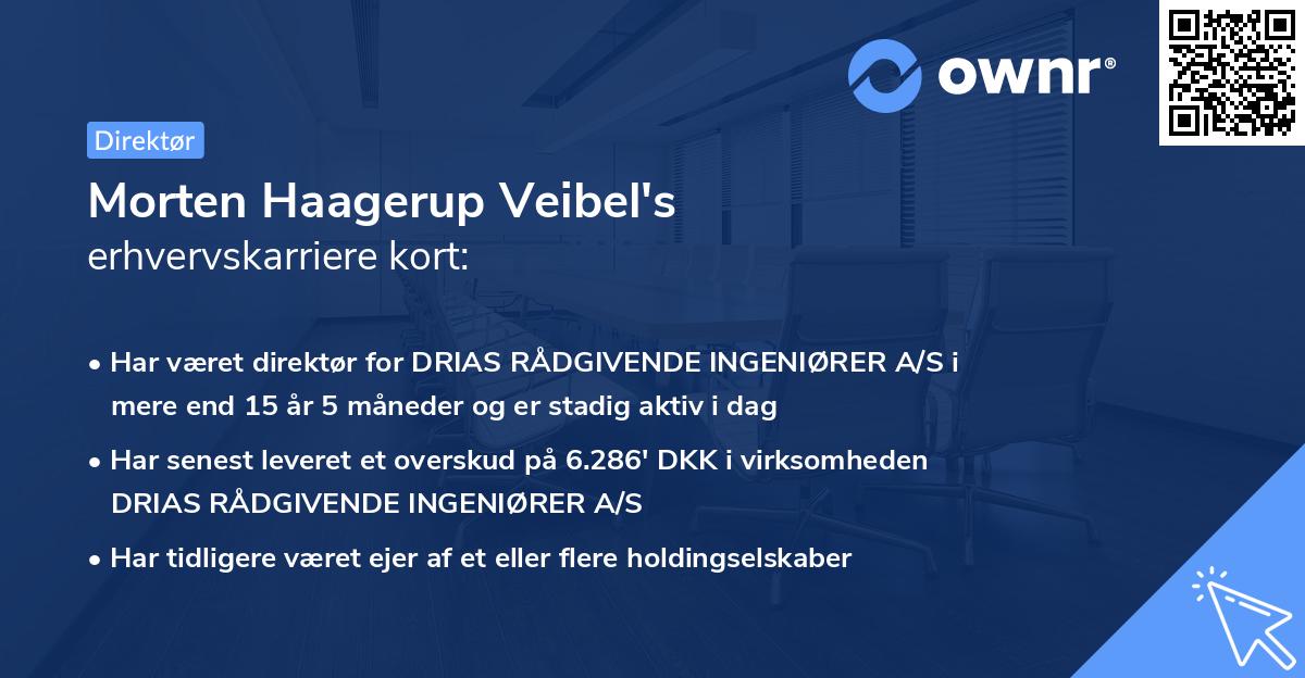 Morten Haagerup Veibel's erhvervskarriere kort