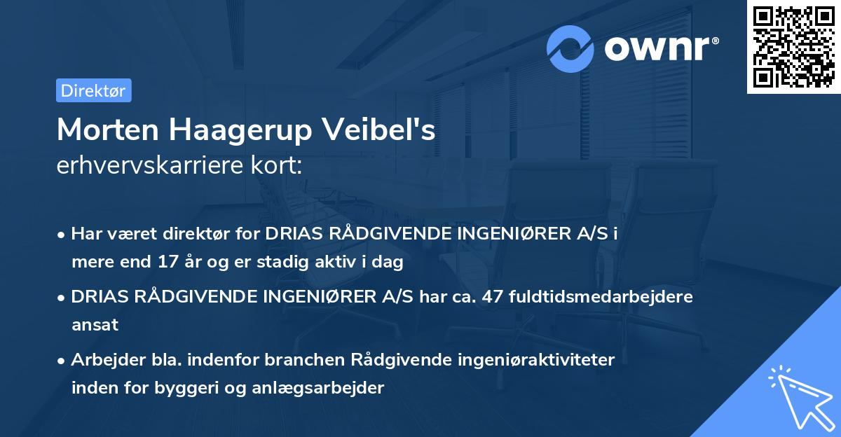 Morten Haagerup Veibel's erhvervskarriere kort