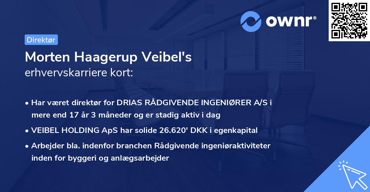 Morten Haagerup Veibel's erhvervskarriere kort