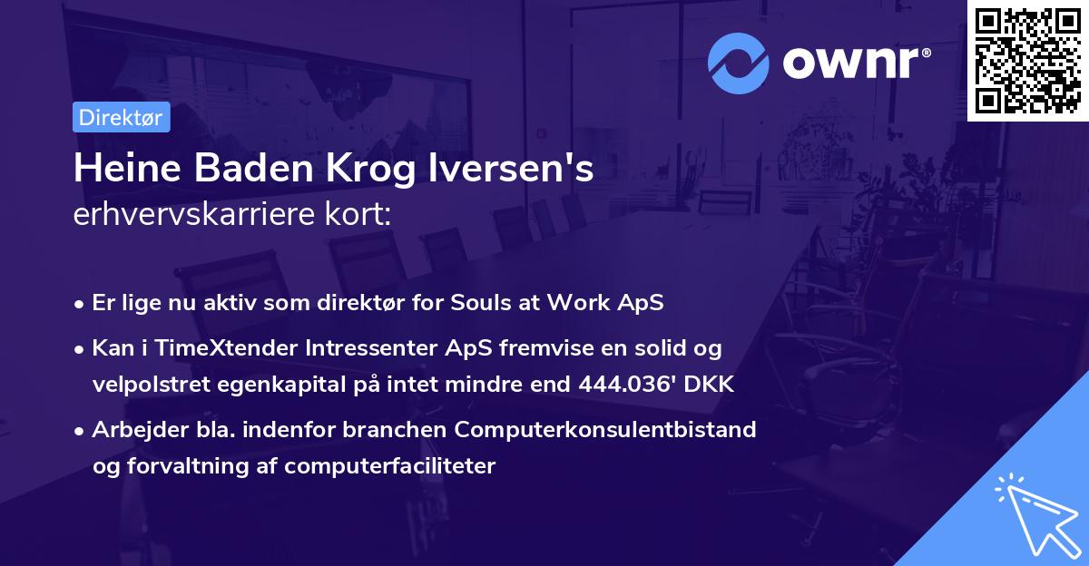 Heine Baden Krog Iversen's erhvervskarriere kort