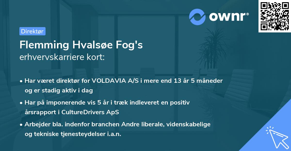 Flemming Hvalsøe Fog's erhvervskarriere kort