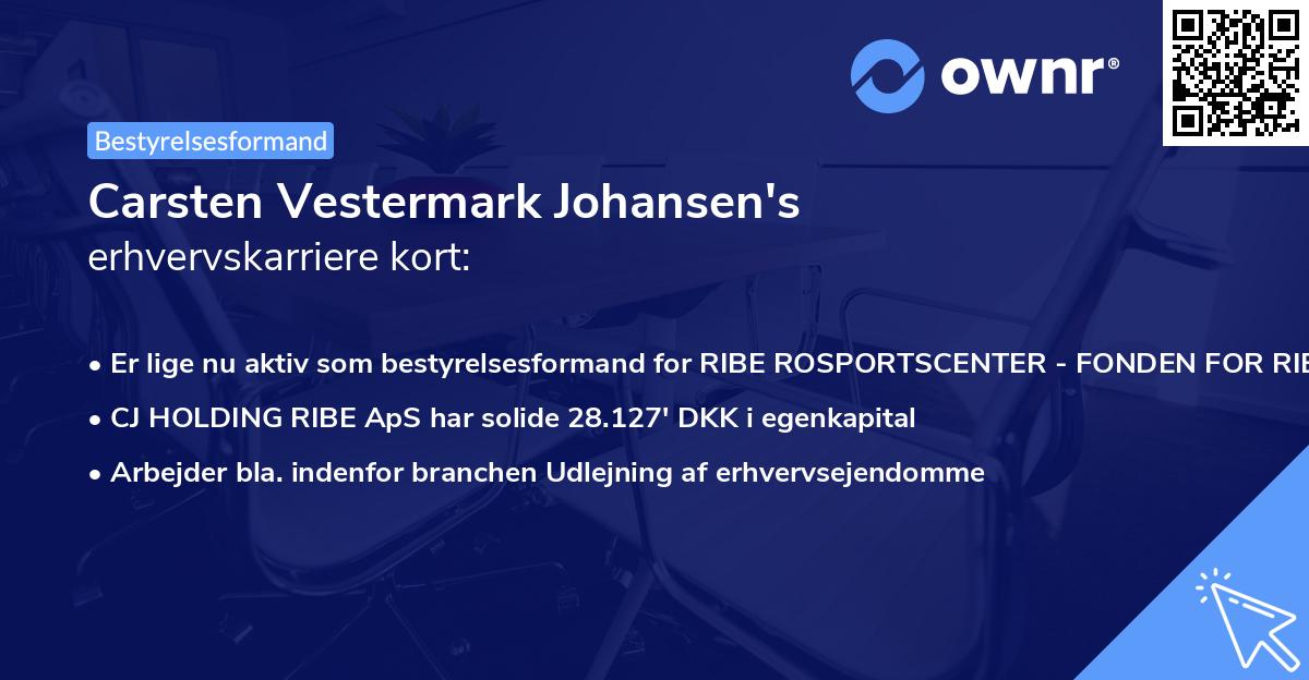 Carsten Vestermark Johansen's erhvervskarriere kort