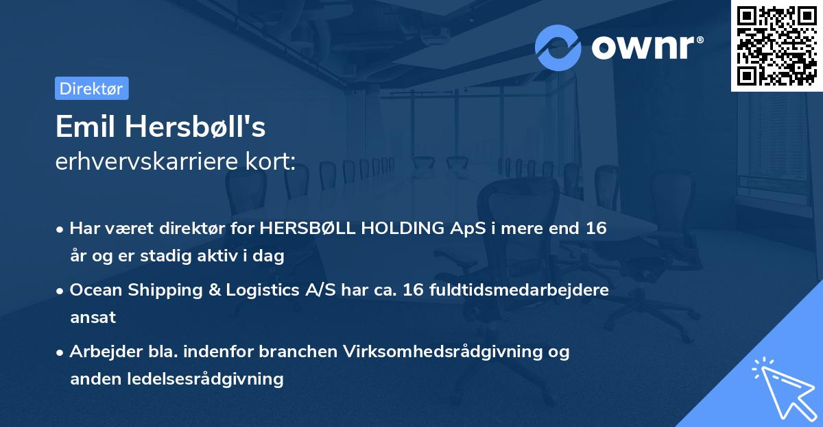 Emil Hersbøll's erhvervskarriere kort