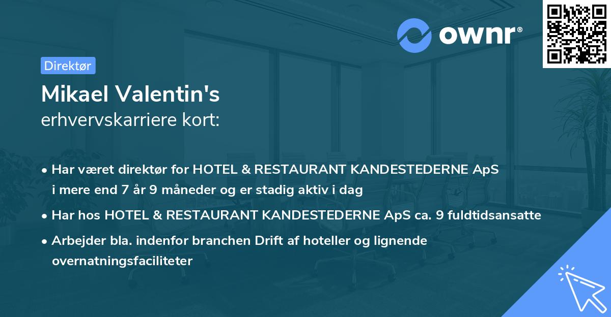 Mikael Valentin's erhvervskarriere kort