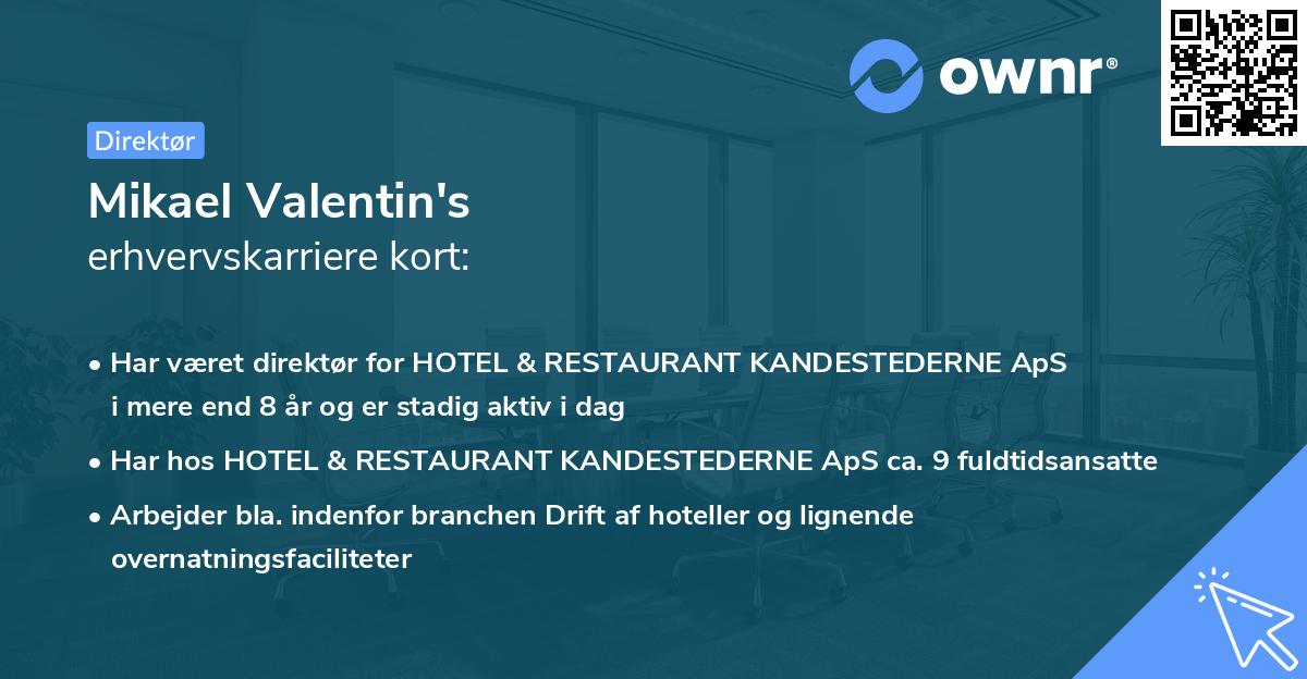 Mikael Valentin's erhvervskarriere kort