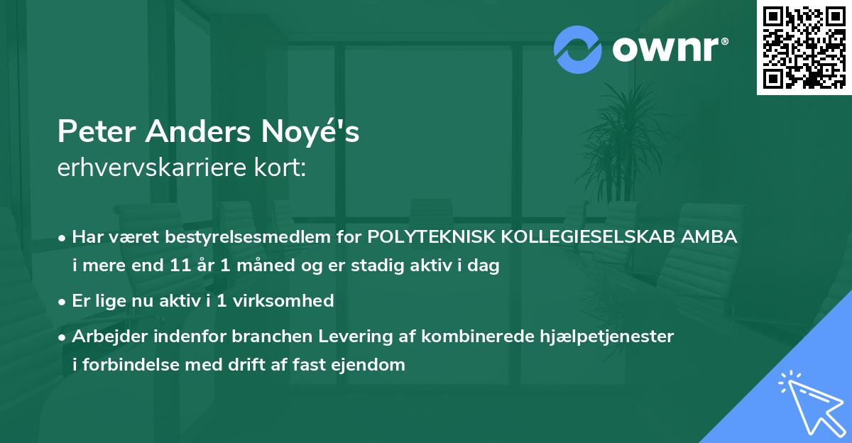 Peter Anders Noyé's erhvervskarriere kort