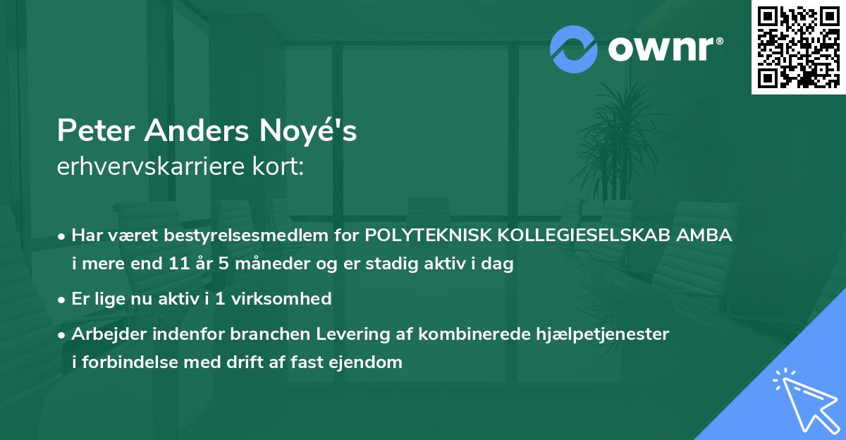 Peter Anders Noyé's erhvervskarriere kort