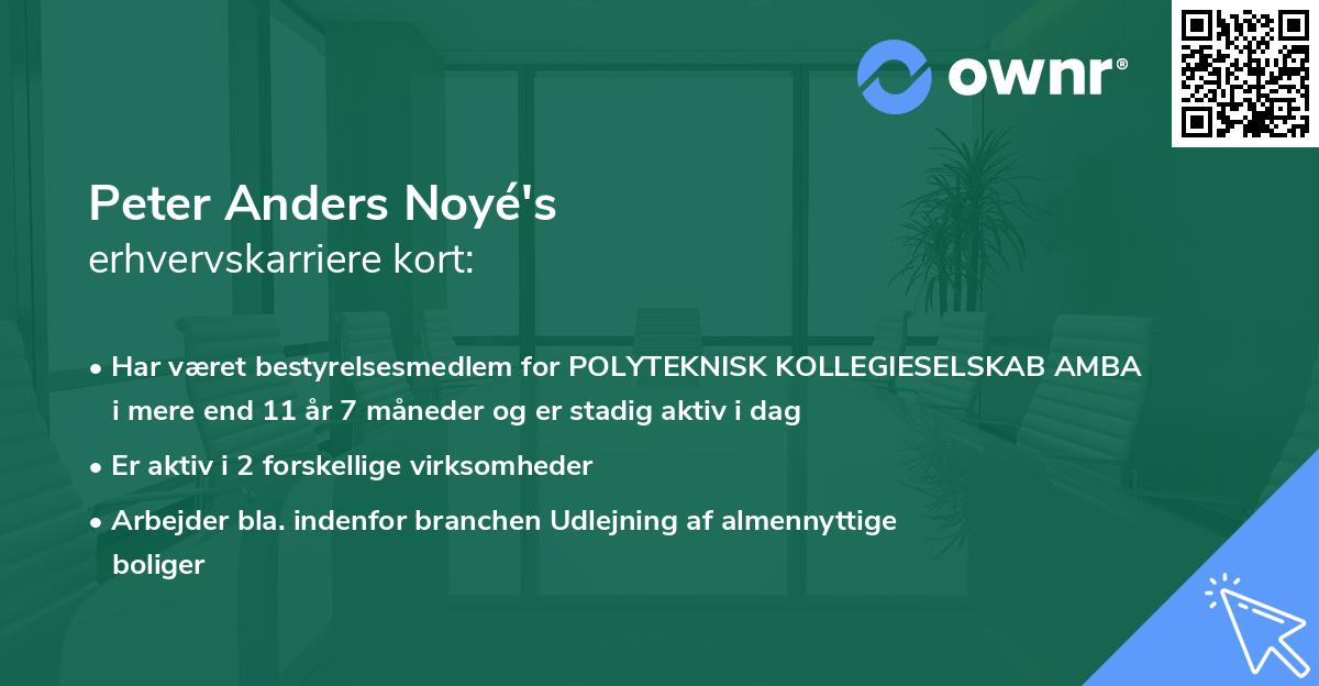 Peter Anders Noyé's erhvervskarriere kort