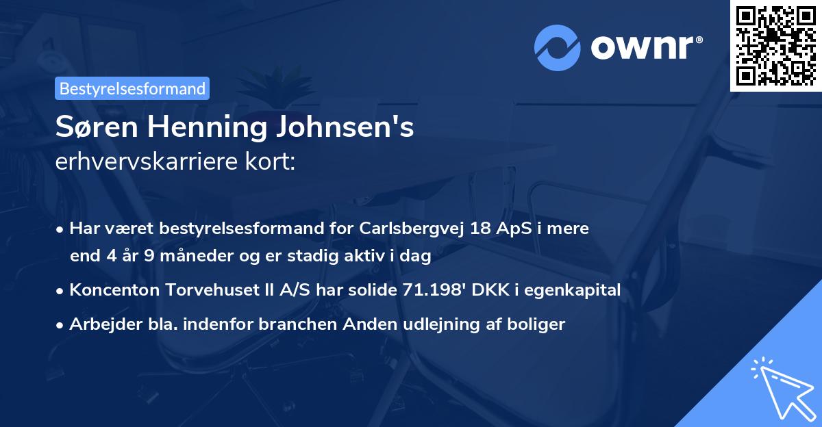 Søren Henning Johnsen's erhvervskarriere kort