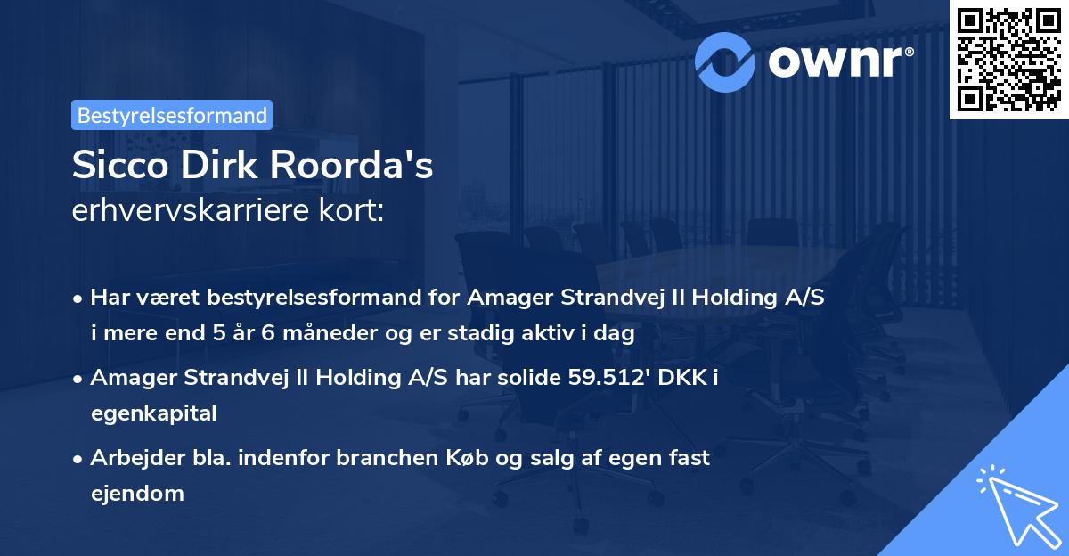 Sicco Dirk Roorda's erhvervskarriere kort