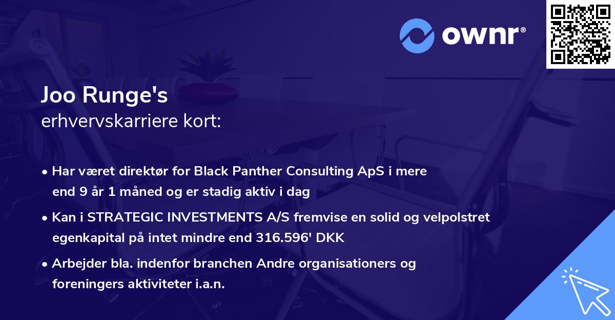 Joo Runge's erhvervskarriere kort