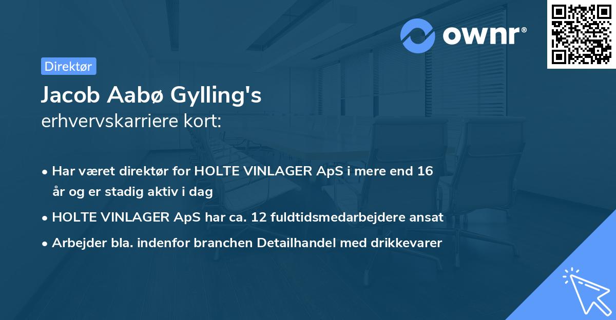 Jacob Aabø Gylling's erhvervskarriere kort