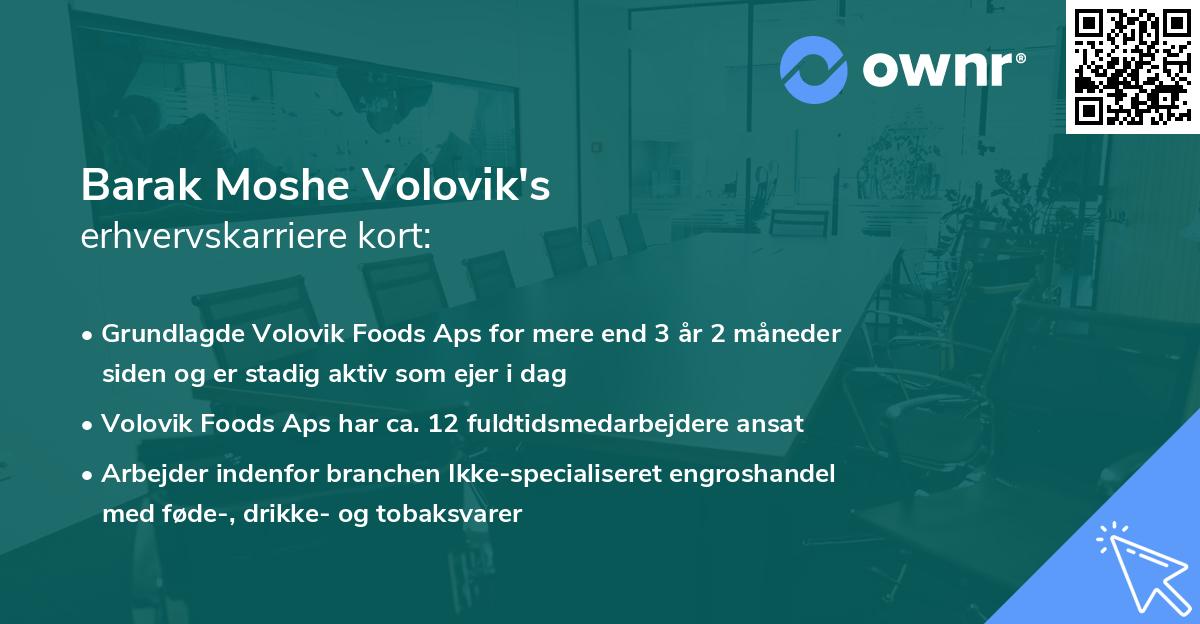Barak Moshe Volovik's erhvervskarriere kort