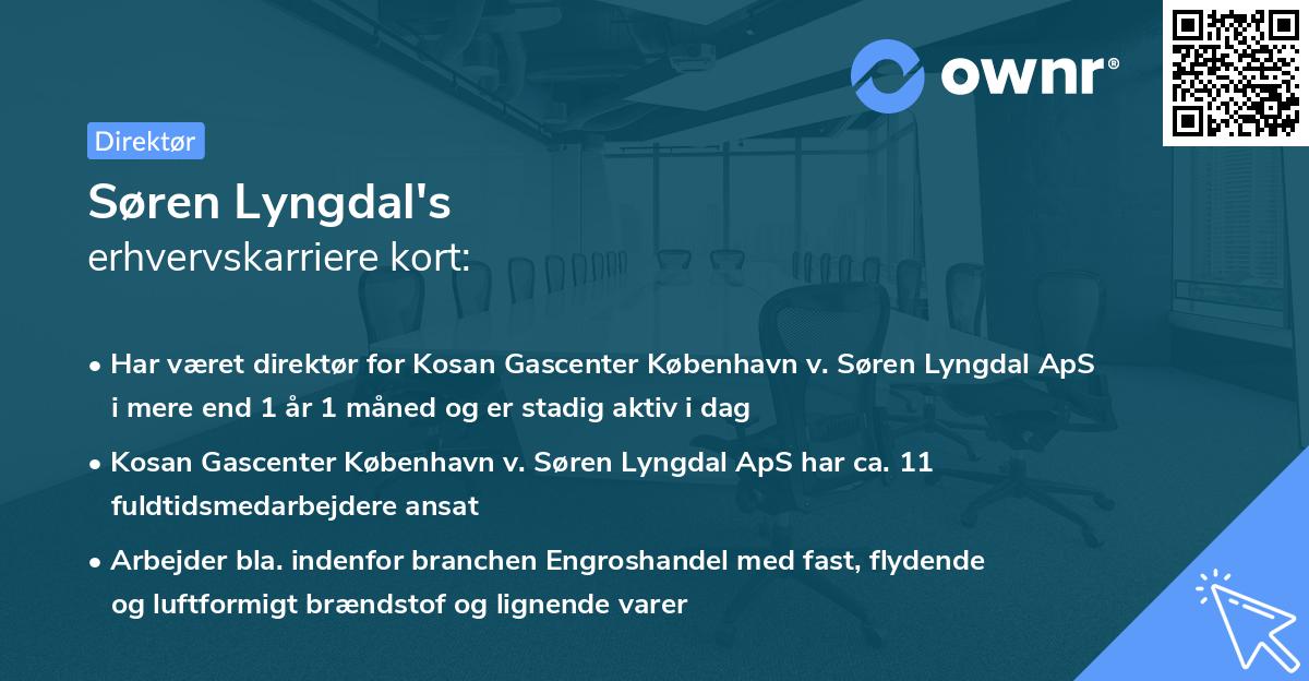 Søren Lyngdal's erhvervskarriere kort