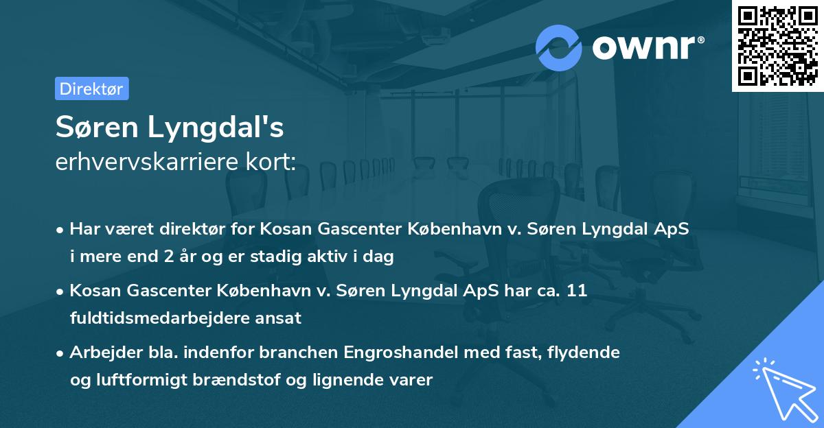 Søren Lyngdal's erhvervskarriere kort