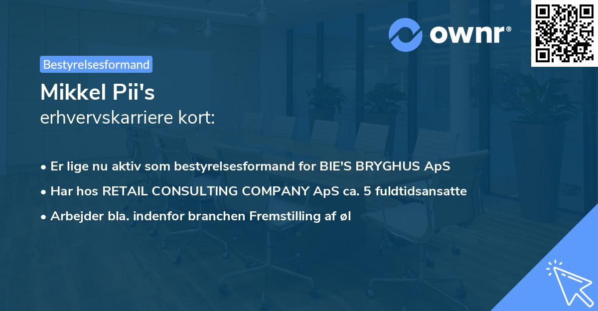 Mikkel Pii's erhvervskarriere kort
