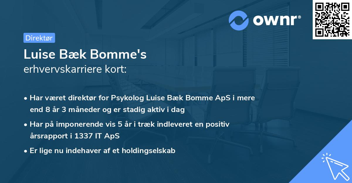 Luise Bæk Bomme's erhvervskarriere kort