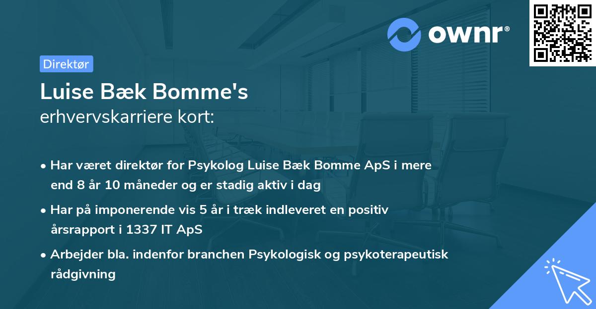 Luise Bæk Bomme's erhvervskarriere kort