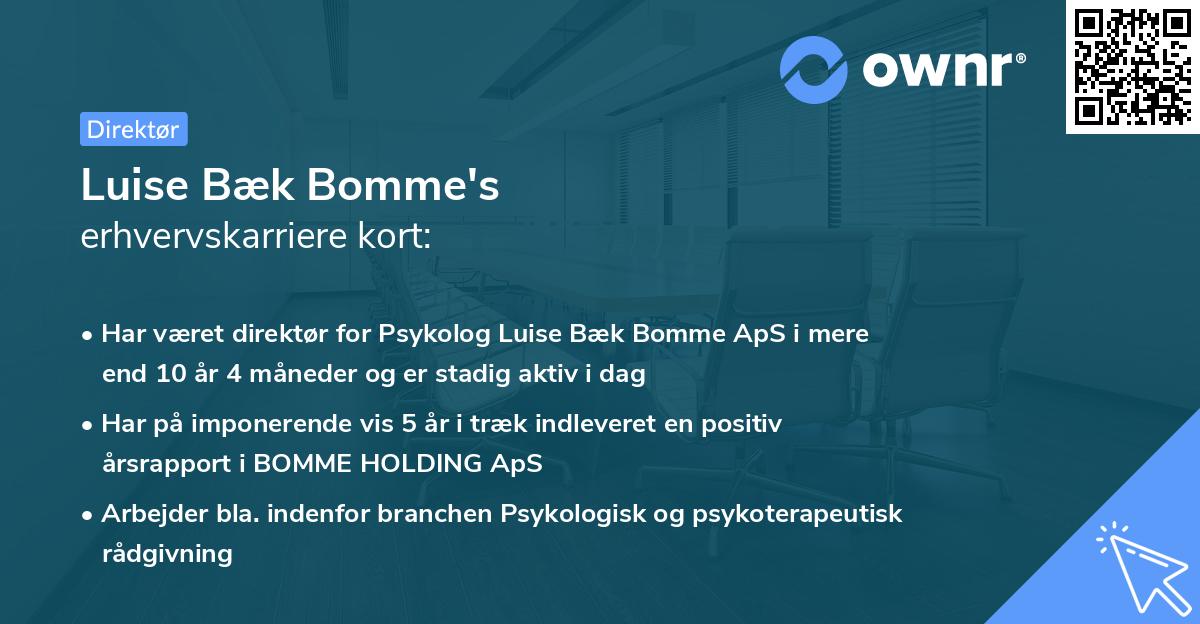 Luise Bæk Bomme's erhvervskarriere kort