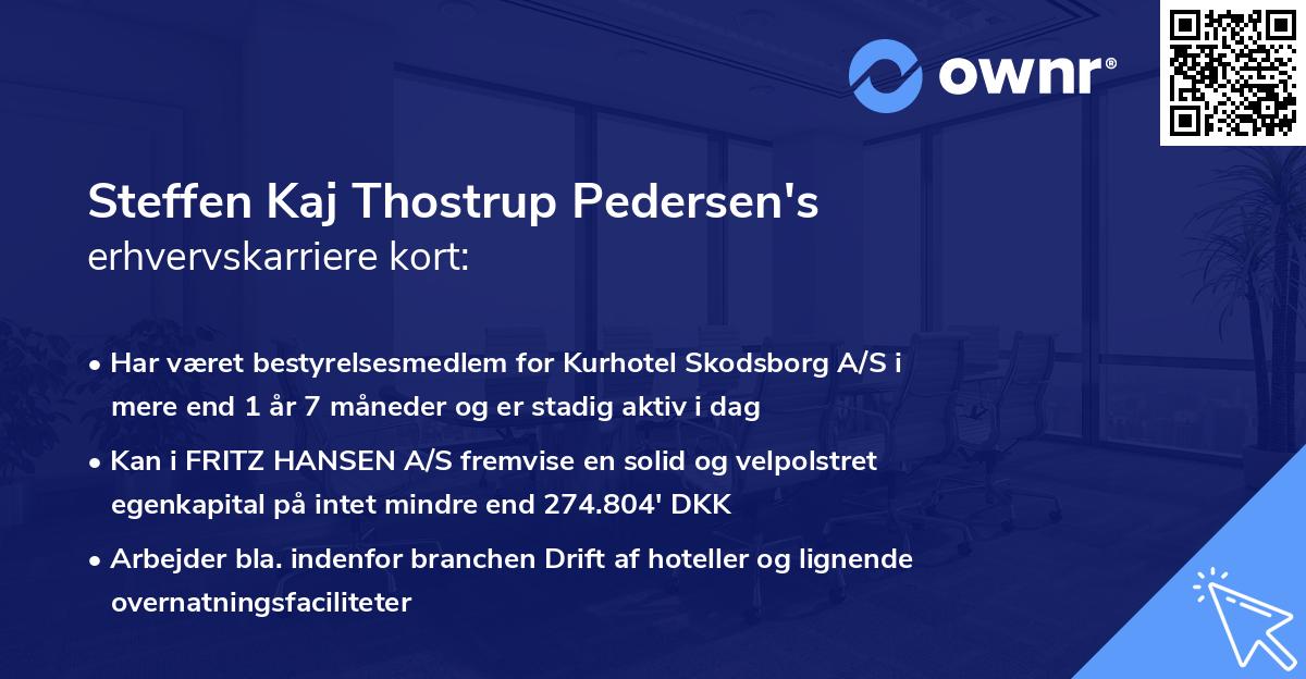 Steffen Kaj Thostrup Pedersen's erhvervskarriere kort
