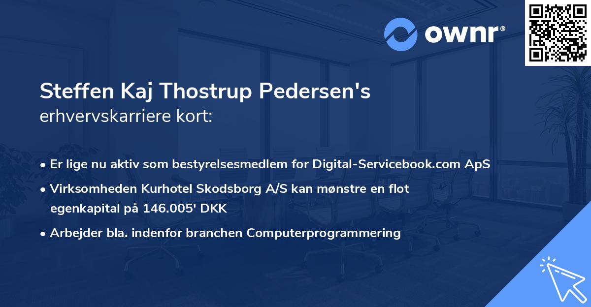 Steffen Kaj Thostrup Pedersen's erhvervskarriere kort