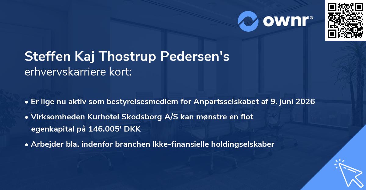 Steffen Kaj Thostrup Pedersen's erhvervskarriere kort