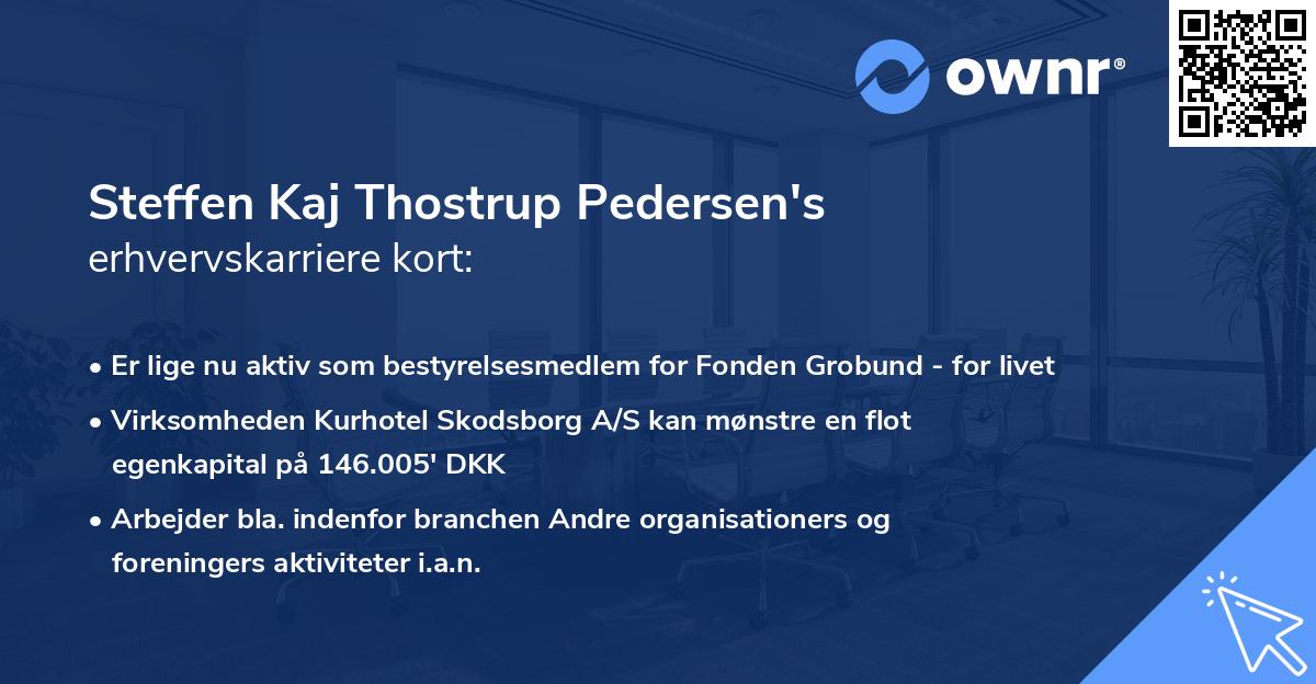 Steffen Kaj Thostrup Pedersen's erhvervskarriere kort