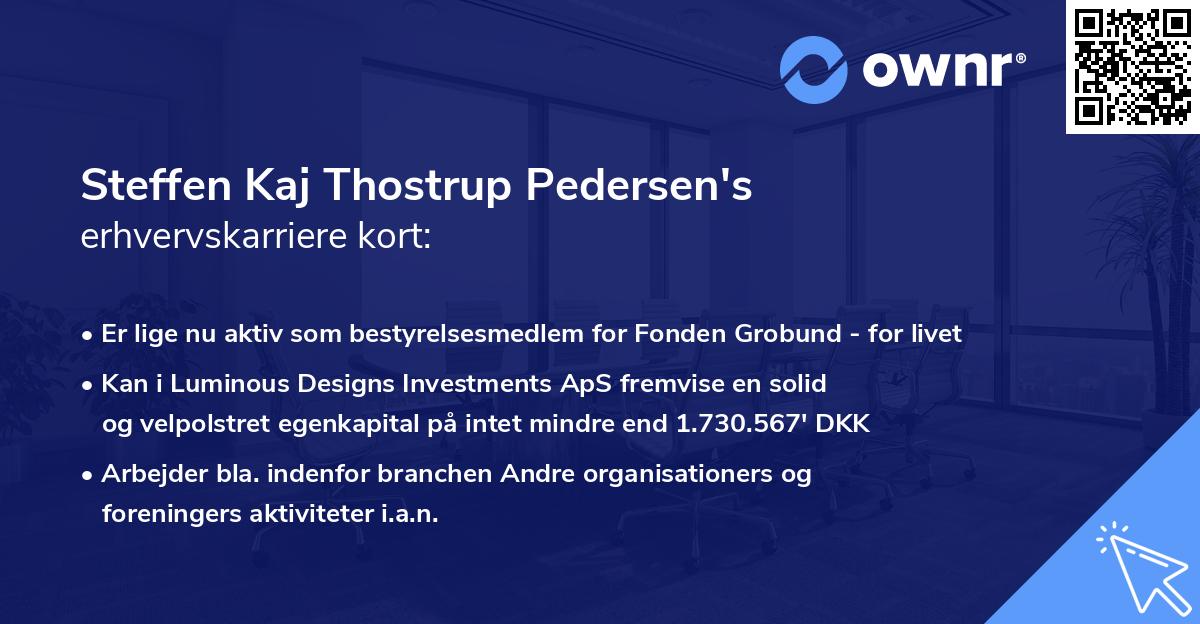 Steffen Kaj Thostrup Pedersen's erhvervskarriere kort