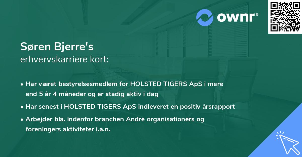 Søren Bjerre's erhvervskarriere kort
