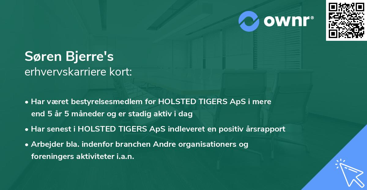 Søren Bjerre's erhvervskarriere kort