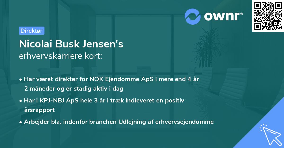 Nicolai Busk Jensen's erhvervskarriere kort