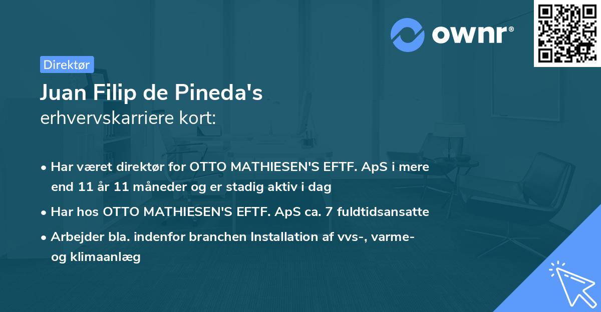 Juan Filip de Pineda's erhvervskarriere kort