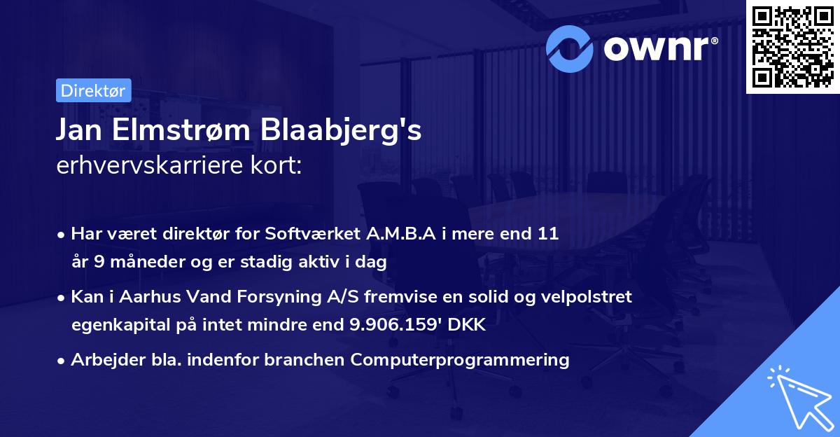 Jan Elmstrøm Blaabjerg's erhvervskarriere kort