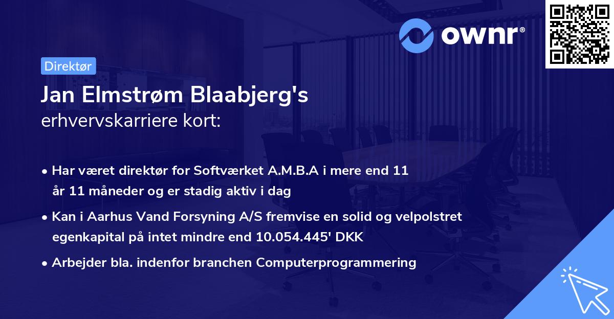 Jan Elmstrøm Blaabjerg's erhvervskarriere kort