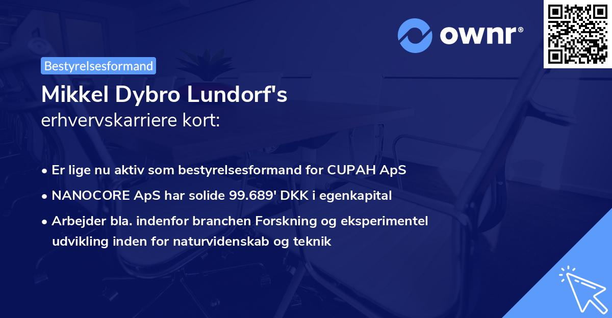 Mikkel Dybro Lundorf's erhvervskarriere kort