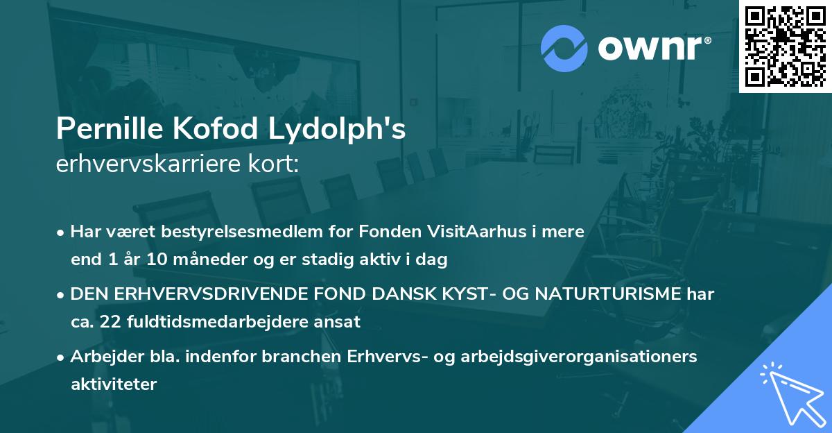 Pernille Kofod Lydolph's erhvervskarriere kort