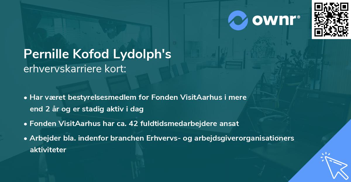 Pernille Kofod Lydolph's erhvervskarriere kort