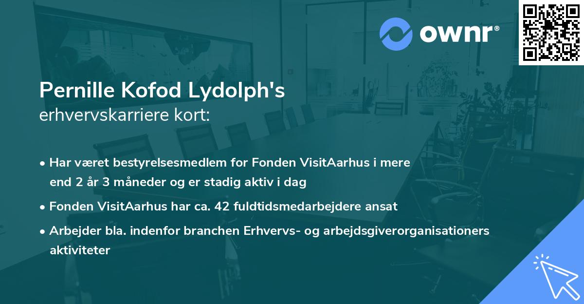 Pernille Kofod Lydolph's erhvervskarriere kort