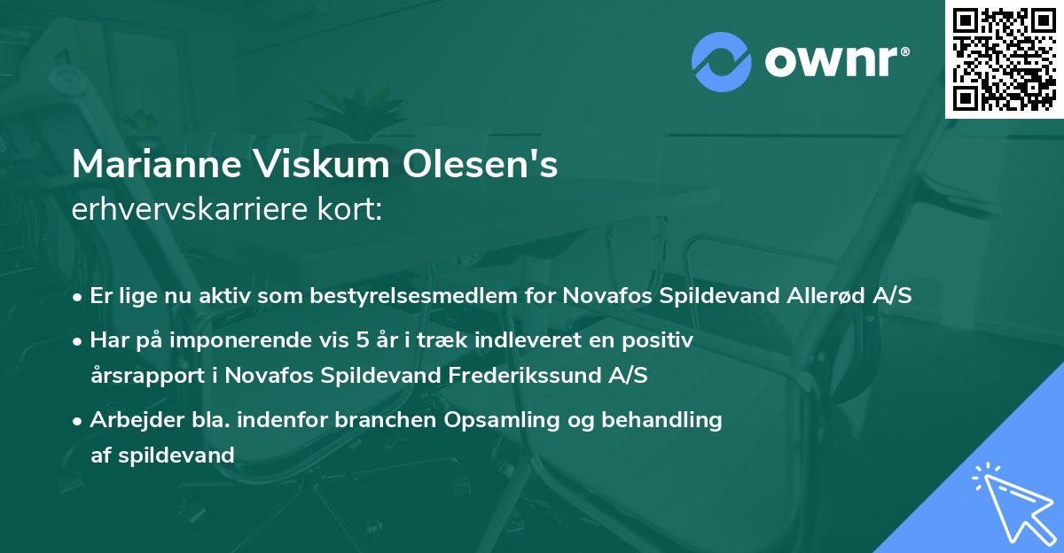 Marianne Viskum Olesen's erhvervskarriere kort