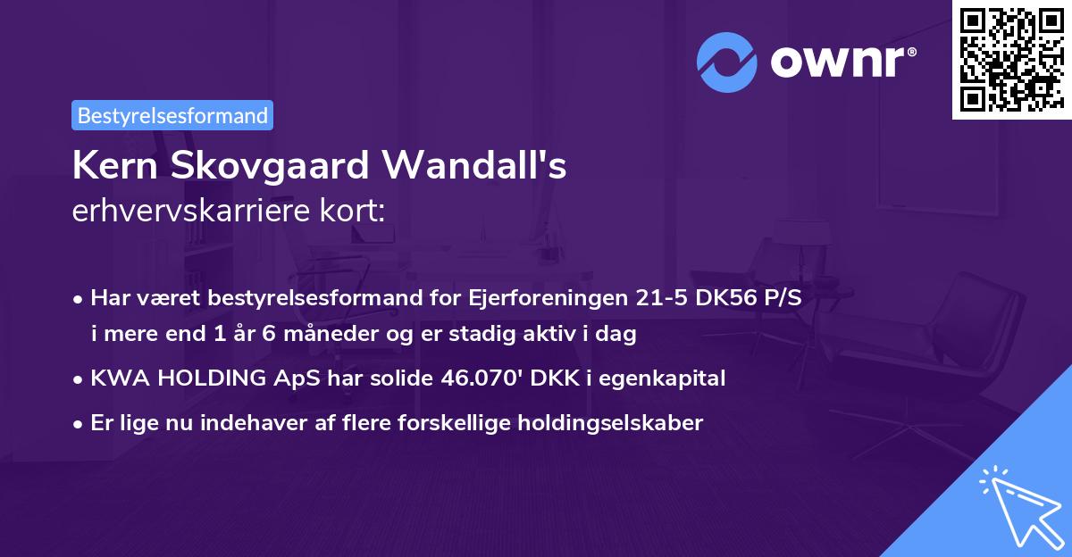 Kern Skovgaard Wandall's erhvervskarriere kort