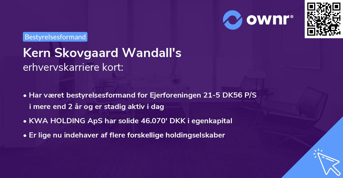 Kern Skovgaard Wandall's erhvervskarriere kort